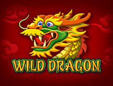 Wild Dragon